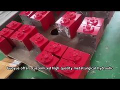 High Quality Custom Metallurgical Hydraulic Cylinders for Metallurgical Support OEM ODM