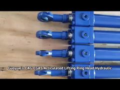 CAG CGAS Articulated Lifting Ring Head CDH1 MP5 Heavy Duty Hydraulic Cylinder