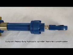 CDH2 MT4 MP5 Heavy Duty Hydraulic Cylinder CDH2 MP5/63/45/500A1X/B1CHDMWW Hydraulic Cylinder