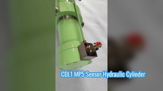 Good Quality Rexroth CDL1 MP5 Sensor Hydraulic Cylinder Heavy Load Double Rod Hydraulic Cylinder