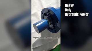 Heavy Duty Hydraulic Cylinder Guoyue CDH1MF3