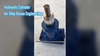 Marine Telescopic Hydraulic Cylinder Corrosion Proof